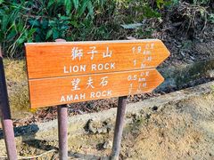 -狮子山郊野公园