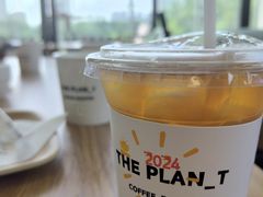 柠檬茶-THE PLAN_T COFFEE ROASTER(定岗湖公园店)