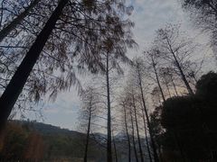 -广州市白云山风景名胜区