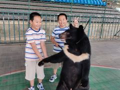 -东方熊牧场