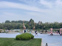 -北京野生动物园