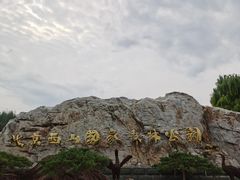 -北京西山国家森林公园