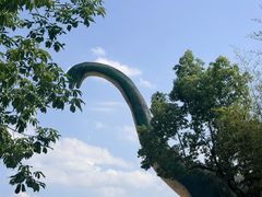 -中国西峡恐龙遗迹园