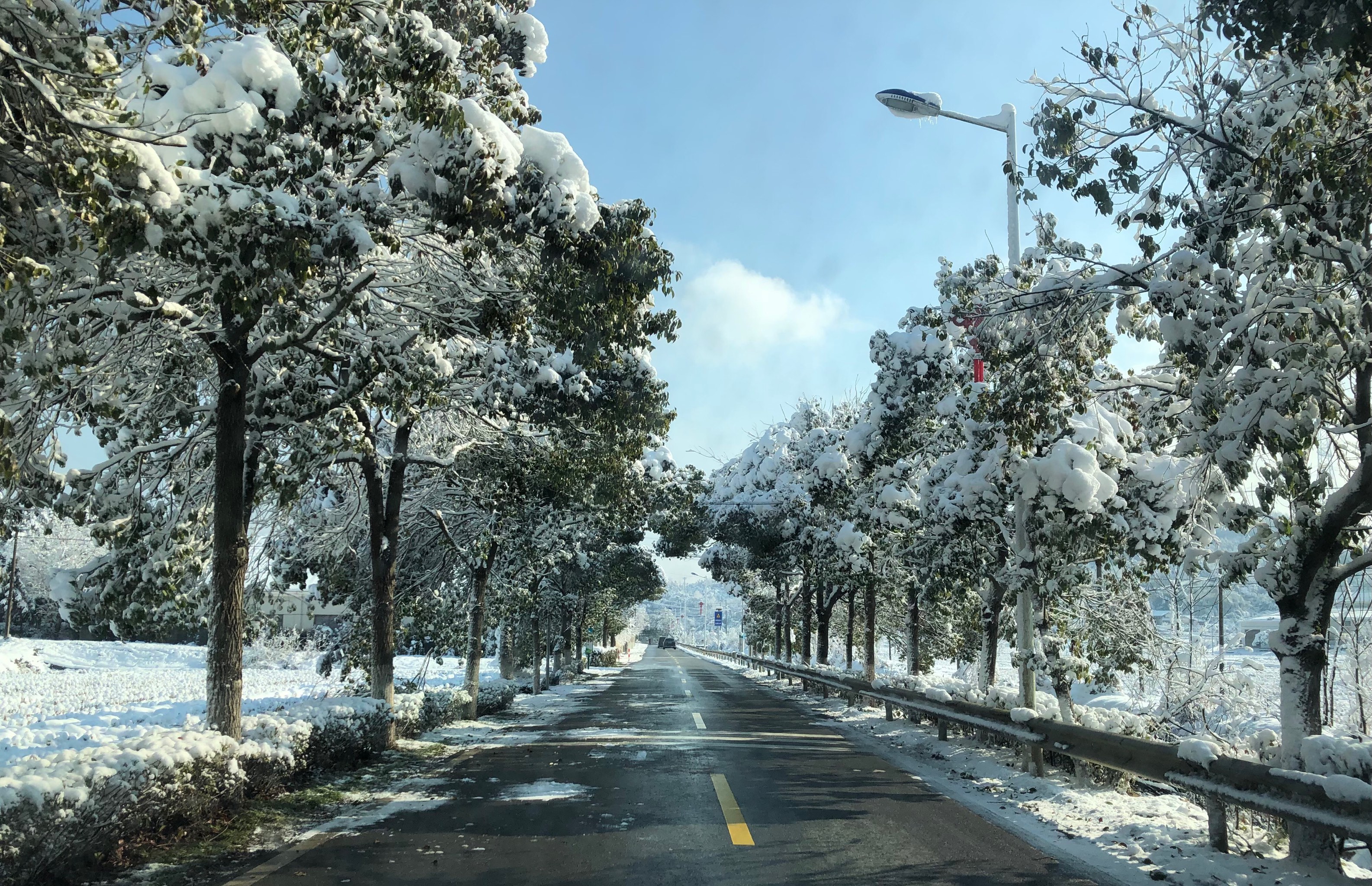 湖南长沙雪景图片