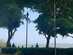 -深圳湾公园(南山区)