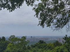 -大蜀山国家森林公园