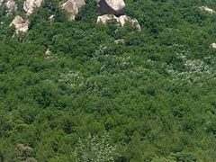 -天津盘山风景名胜区