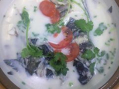 -全乐鱼馆·淳牌有机鱼直营店