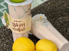 -猫的魔法密林(衣裳街店)