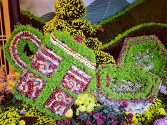 -杭州植物园
