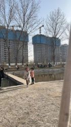 -上美四季动物农场