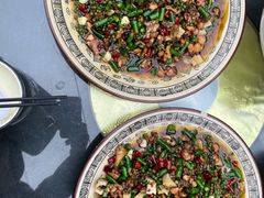 -铁山坪森林公园