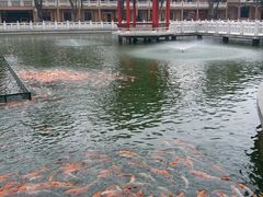 -广东圆玄道观