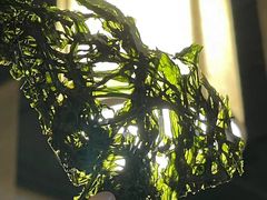 -十二舍·湯物素煮(江泰潤政店)