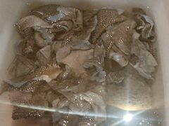 -小志家.鲜牦牛肉牛杂火锅野生菌汤锅