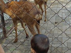 -长白岛森林公园