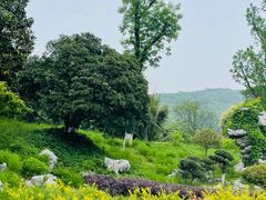 -苏州吴中太湖旅游区