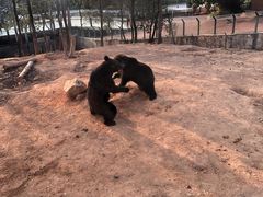 -泉州海丝野生动物世界