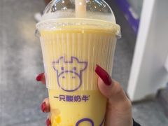 -一只酸奶牛(洪崖洞11楼店)