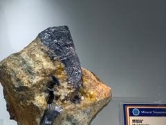 -中国地质大学逸夫博物馆