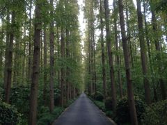 iphone_upload_pic-上海怡沁园度假酒店