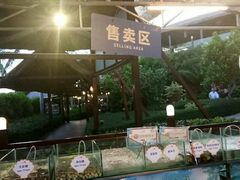 -渔家火锅·海鲜自助餐·演艺(亚龙湾天域酒店)