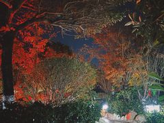 -大理地热国