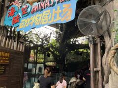 -长鹿旅游休博园