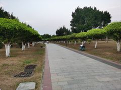 -万绿园