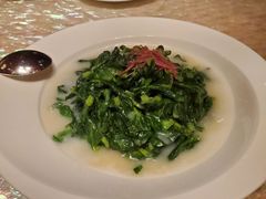 上汤浸豆苗-8餐厅(新葡京酒店)