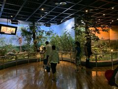 -陕西自然博物馆