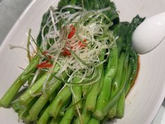 -鲁菜根·泰山菜(泰山店)