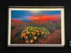 -罗红摄影艺术馆