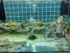 -覃记海鲜美食餐厅