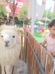 -萌宠亲子动物乐园(槐房万达店)