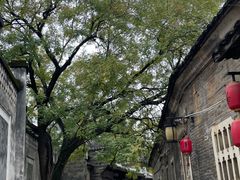 -董府·古宅餐厅