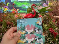 -正佳雨林生态植物园