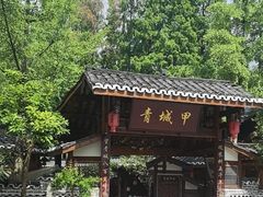 -青城甲(青城山店)