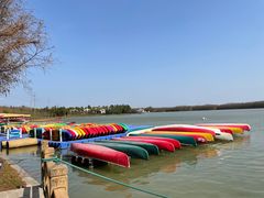 -上海海湾国家森林公园