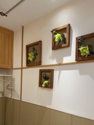 -芳朵美容养生SPA