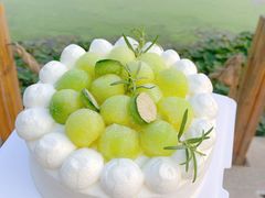 -今日·TODAY手作低脂动物奶油蛋糕定制(高新万达店)