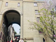 -武汉大学-樱园