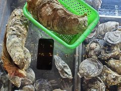 -土蚝·高压锅生蚝(百姓美食街店)