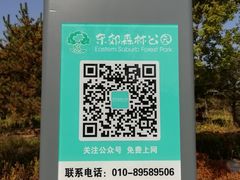 -东郊湿地公园