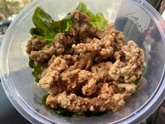 炸醋肉-余味