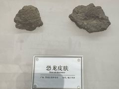 -辽宁古生物博物馆