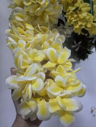-呼拉汇舞蹈生活馆 Hawaii Hula&Tahiti Dance Studio