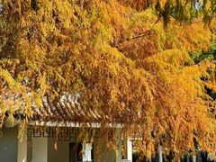 -四海公园(南山区)