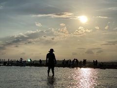 -刘家湾赶海园