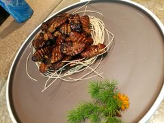 -八大碗·地道东北菜(佳兆业店)